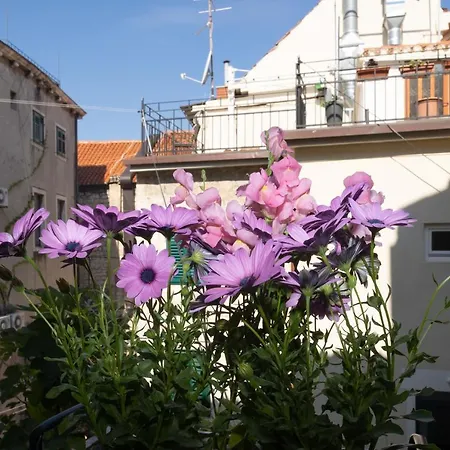 Harmony 스플리트